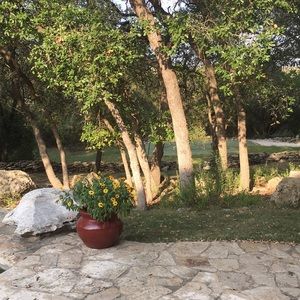 Meet your Posher, Steve